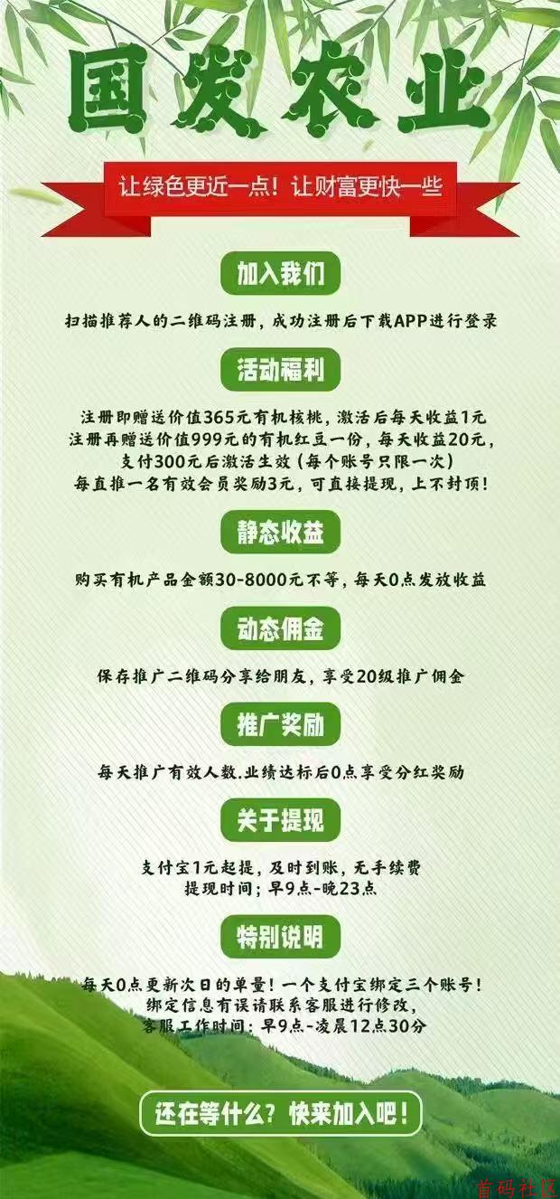 e3291741491829.jpg