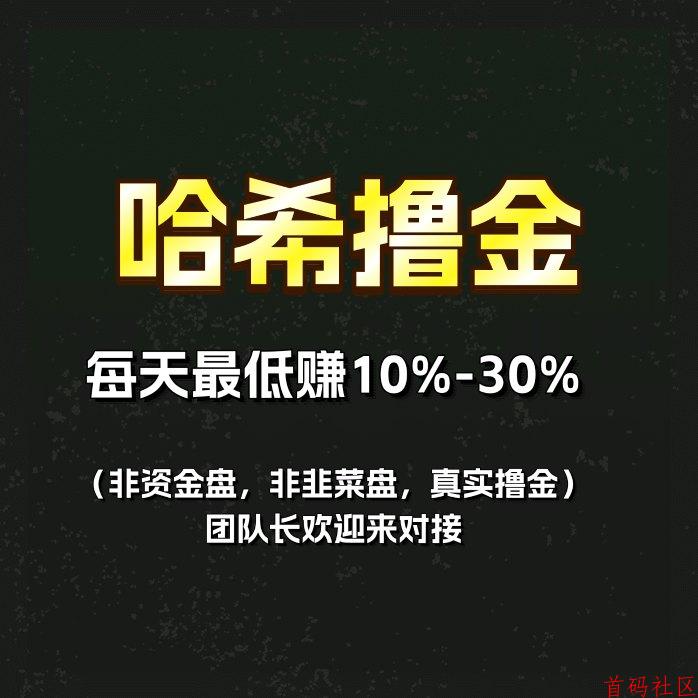 VS/V6哈希和哈希撸金有什么区别？是正规的项目吗？