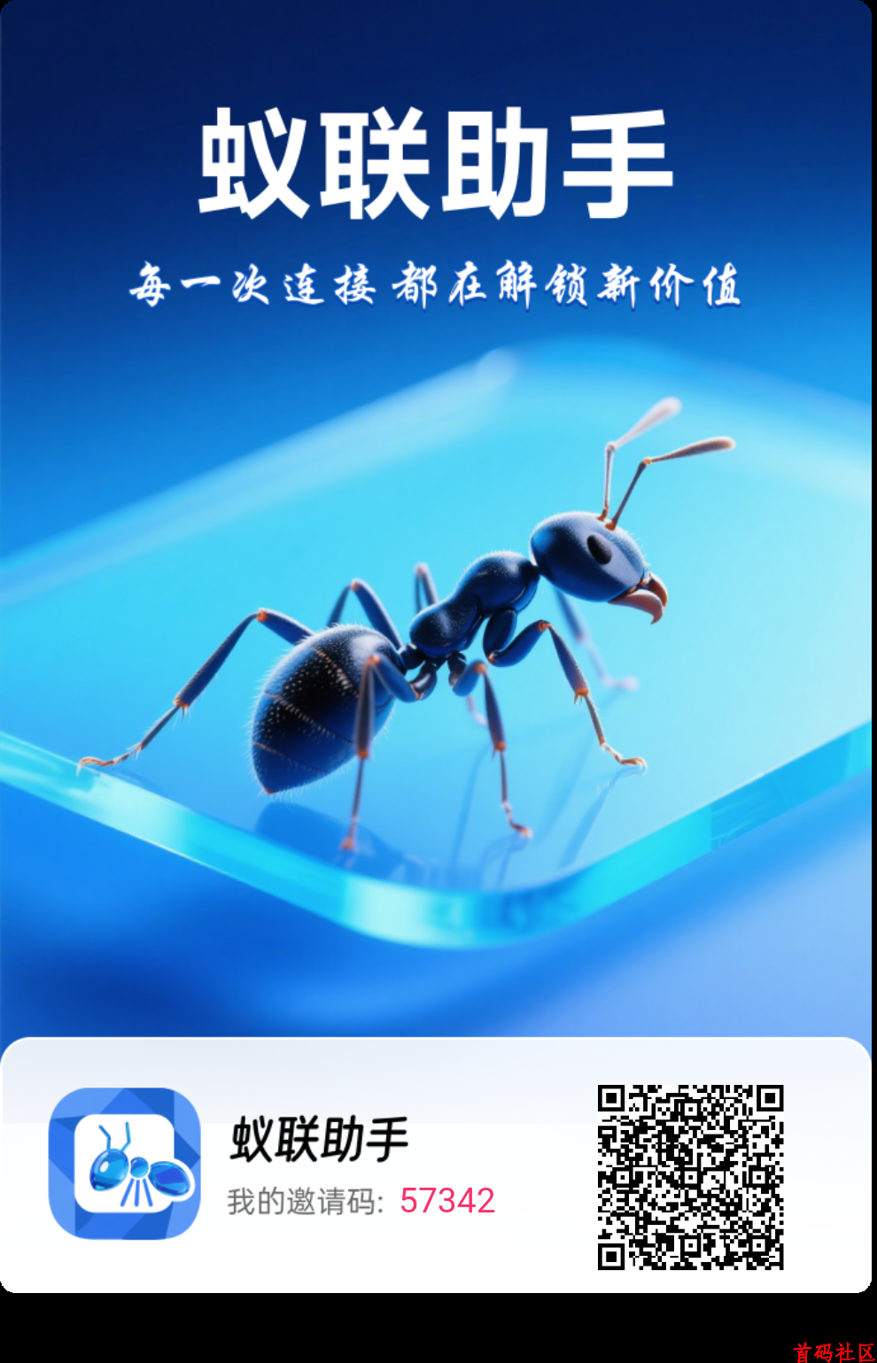 O撸蚁联助手,每天领取一下没有广告。
