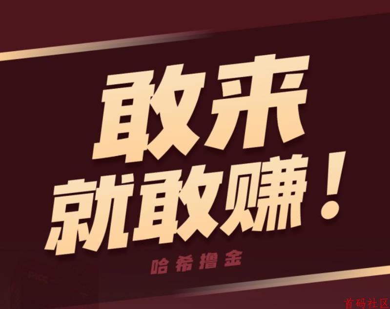 VS/V6哈希和哈希撸金有什么区别？是正规的项目吗？