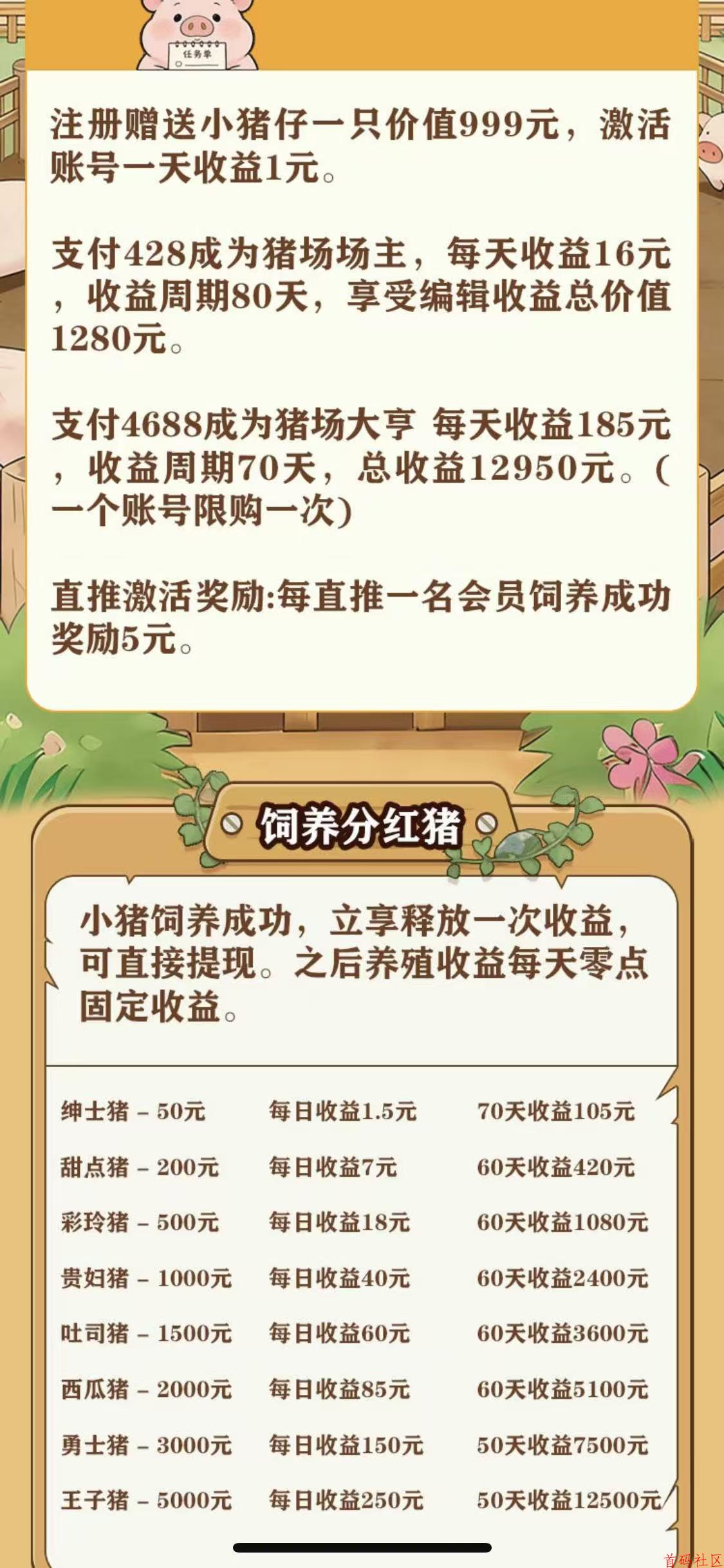好运养猪游戏怎么玩，养猪游戏赚点零花钱，本人常驻公司